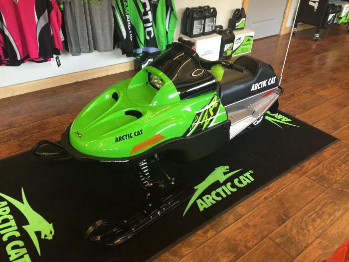 snowmobile αρκτικής αρκούδας γάτας 570