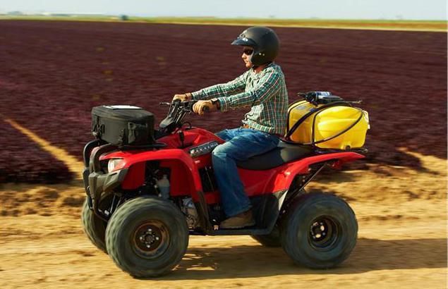 그리즐리 ATV 250