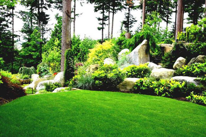 landscape gardening and landscape construction specialty