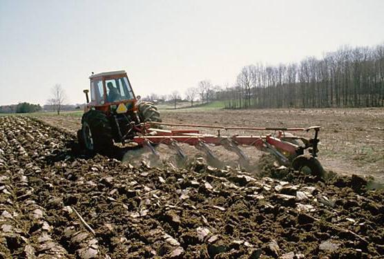 labourer la terre avec un tracteur de fraisage 