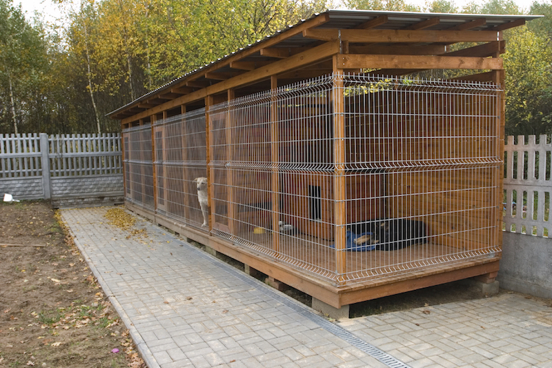 Dog Aviary