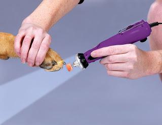 dog grooming machine reviews