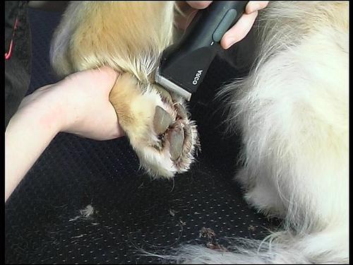 manual dog grooming machine 