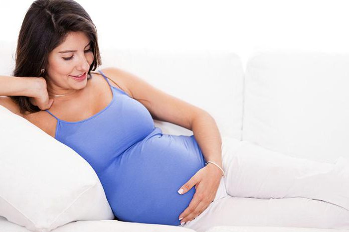 orapihlaja raskauden alkuvaiheessa 