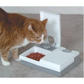 เครื่องให้อาหารอัตโนมัติสำหรับแมว