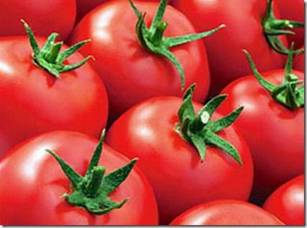 descripción de grado eupator tomate