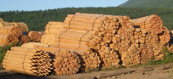 calculation of lumber cubic capacity