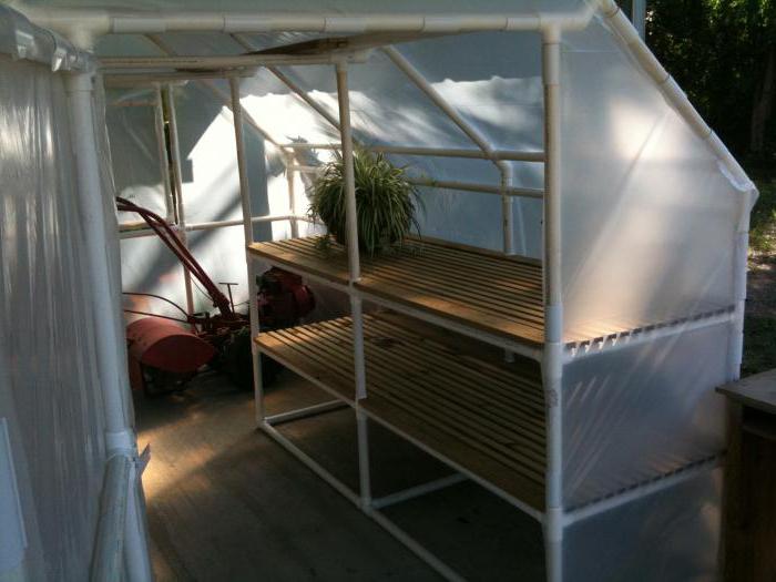 skapa ett växthus av PVC-rör med dina egna händer 