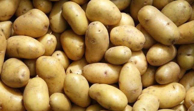 batatas granada variedade descrição comentários
