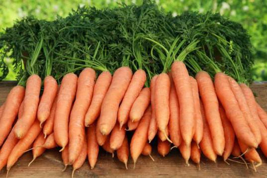 когато трябва да премахнете морковите от градината