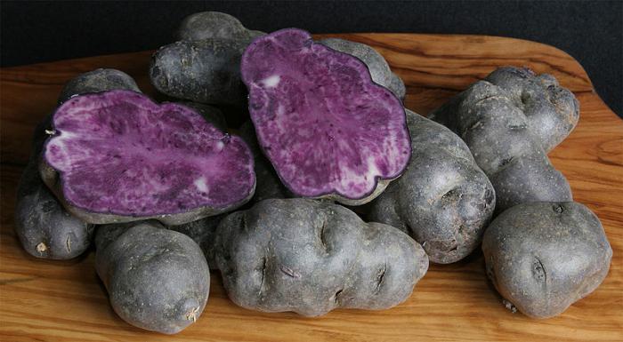фіолетовий картопля