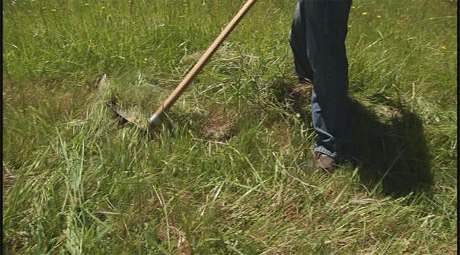 tresse à la main pour l'herbe