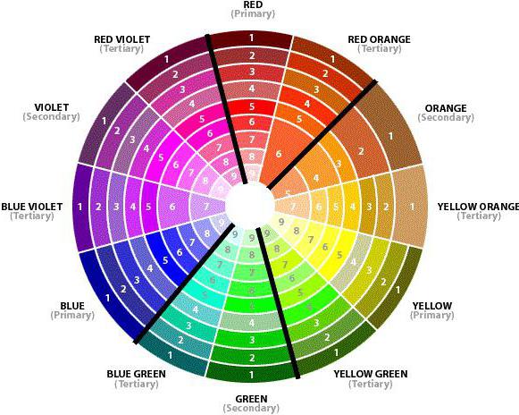 tabella di combinazione di colori nella foto interna