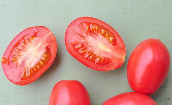 tomate variedade gulliver