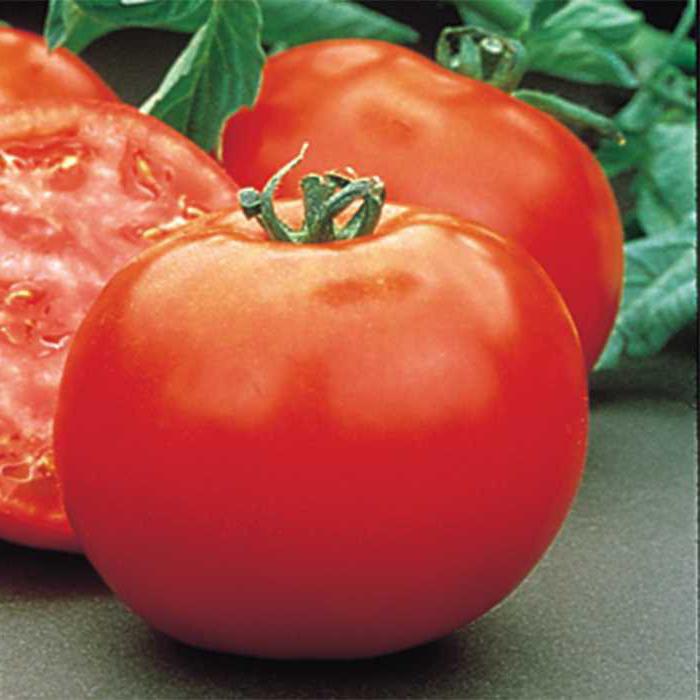 Críticas da descrição do tomate polbig f1