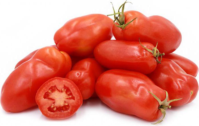 Tomate San Marzano Beschreibung