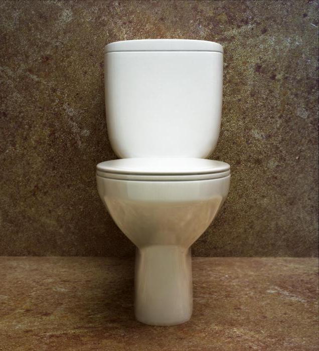 toilettes sanita confort idéal avis 