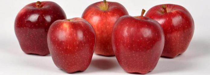 rode hoofd appelboom beschrijving