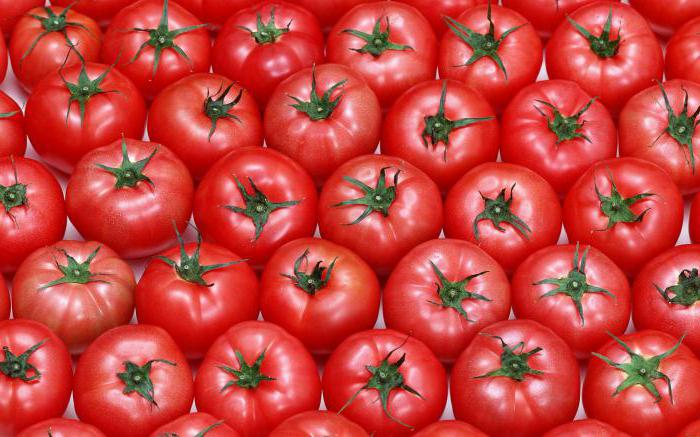 dream tomatoes