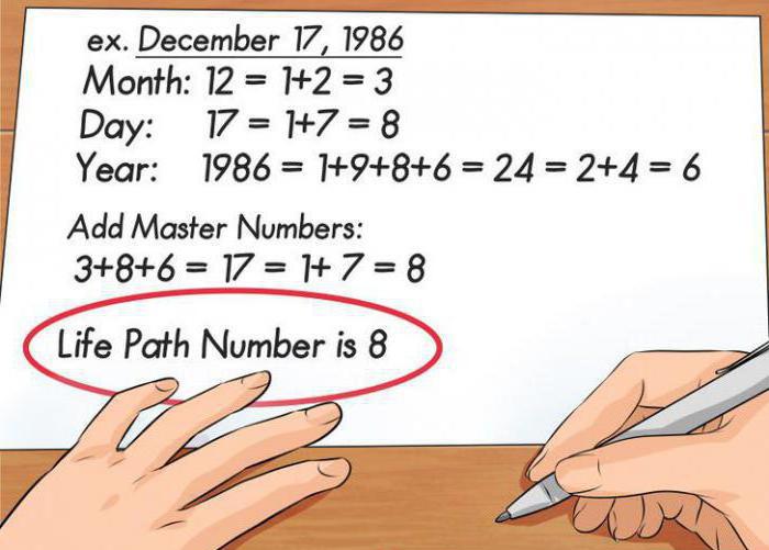 graphique de la vie de la numérologie 