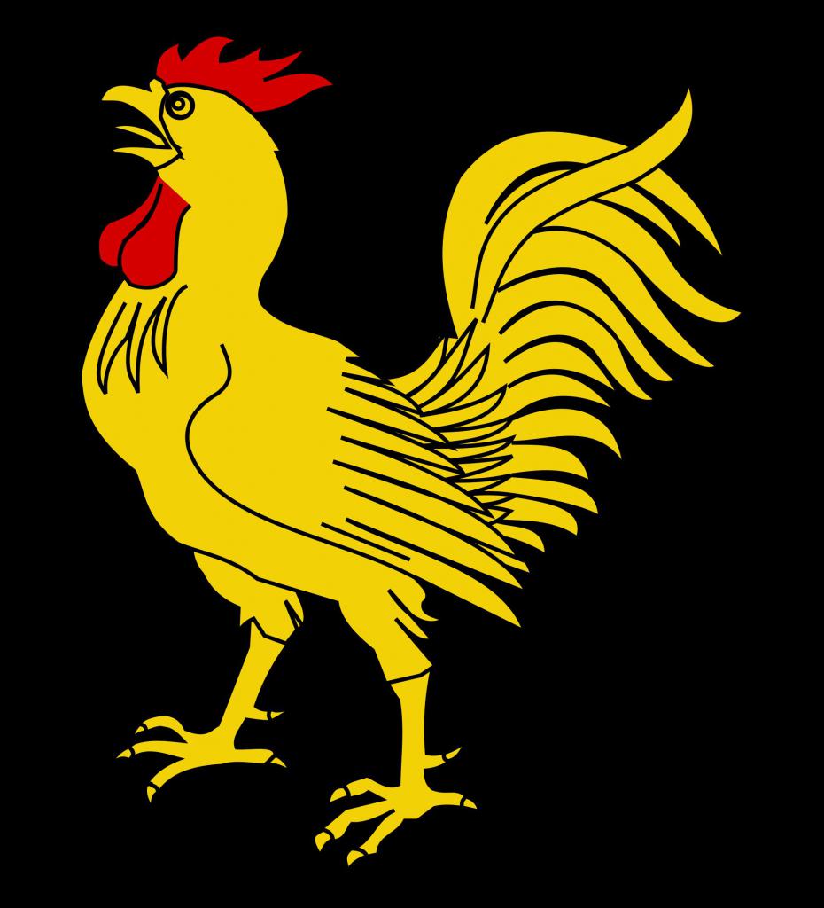 Gallo d'oro