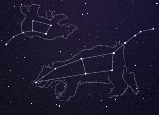 Ursa minor constellation