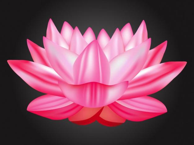 Lotus-Symbol