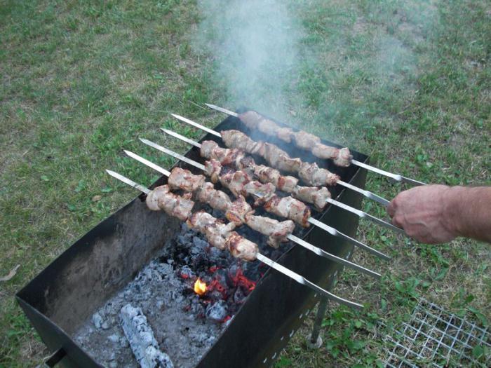 anniversaire en plein air quoi cuisiner photo 