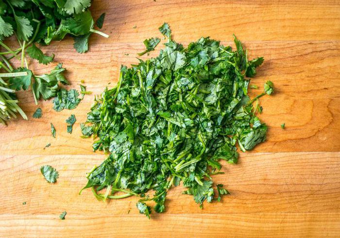 como mantener el cilantro en casa para el invierno