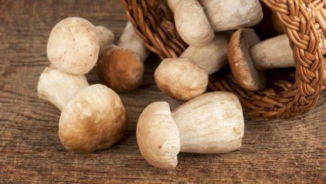 comment vérifier les champignons toxiques lors de la cuisson