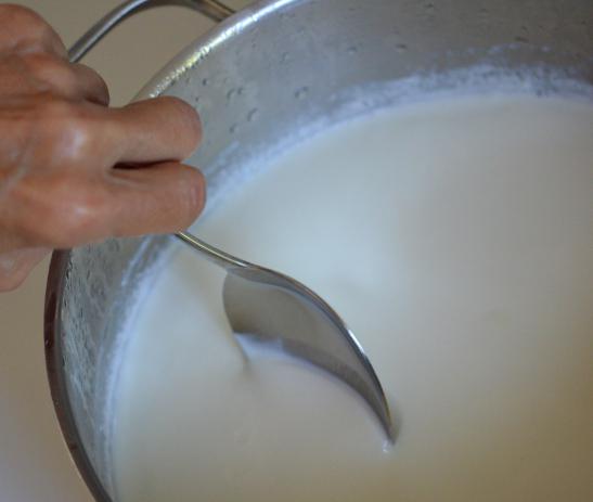 como fazer iogurte desnatado 
