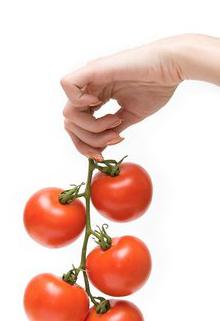marinuoti pomidorai be odelės