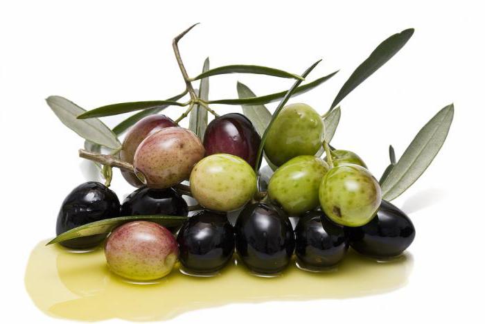 teneur en calories des olives vertes