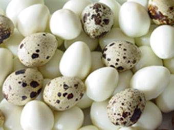 utilizarea ouălor de prepeliță