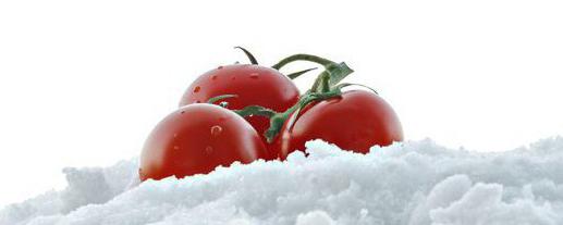 Tomaten im Schnee mit Knoblauch für den Winter