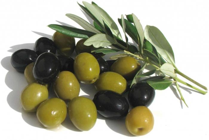 come le olive differiscono dalle olive 