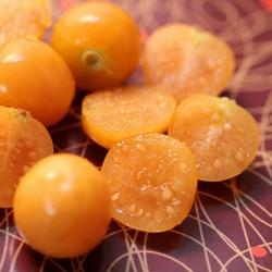 สูตร Physalis ผัก