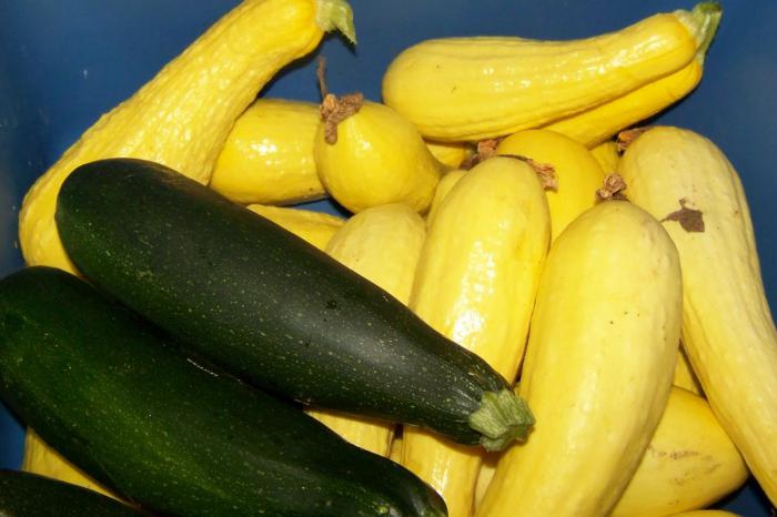 courgettes comme des ananas pour l'hiver 