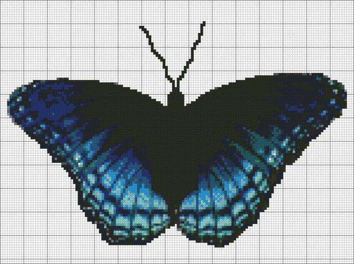 kryžiaus dygsnio drugelių modeliai