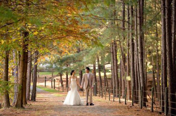 posa per un servizio fotografico di matrimonio in autunno