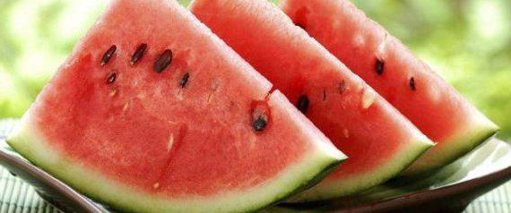 höst hantverk från vattenmelonfrön 
