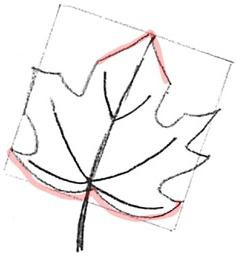 カエデの葉を段階的に描く方法
