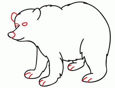 како нацртати медвед с оловком