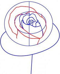 dibujar una rosa