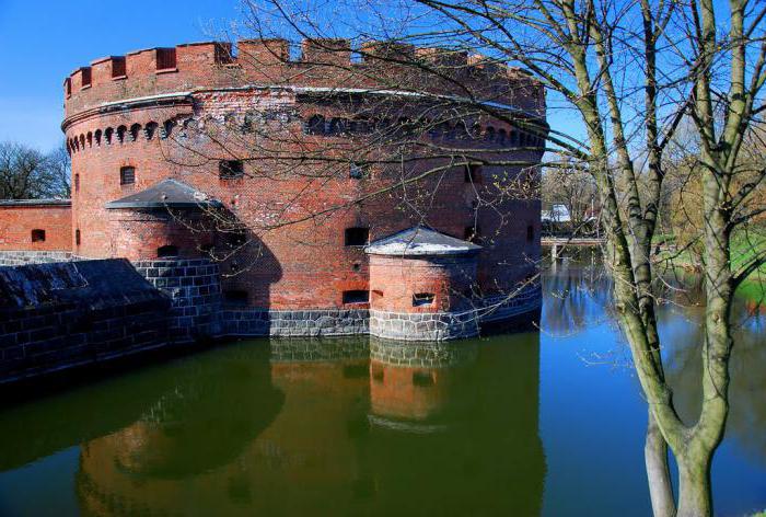 Amber Museum (Kaliningrad), address