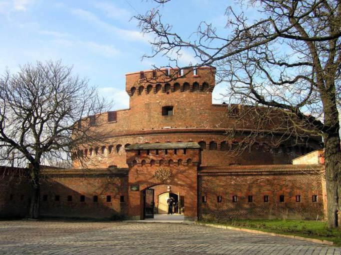 Amber Museum (Kaliningrad)