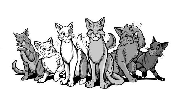 Wie zeichnet man Katzenkrieger