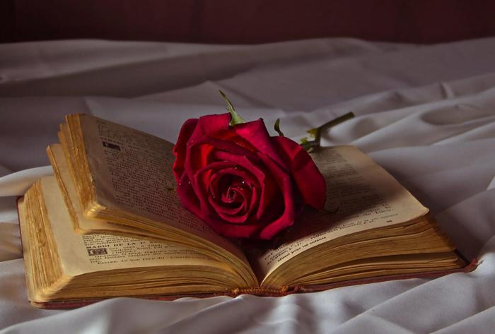 романтизм як літературний напрям
