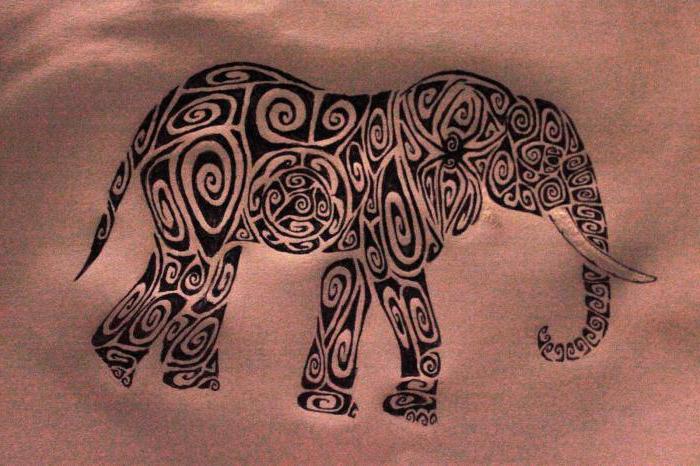 코끼리 문신의 의미 