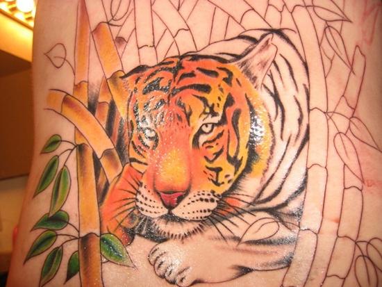 Τιμή Tiger Grin Tattoo
